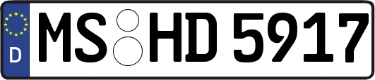 MS-HD5917