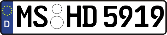 MS-HD5919