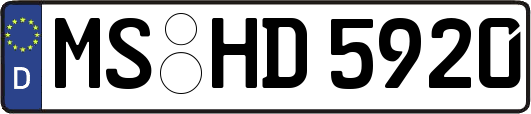 MS-HD5920