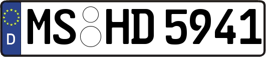 MS-HD5941