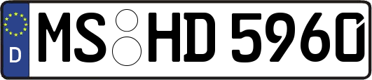 MS-HD5960