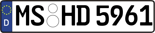 MS-HD5961