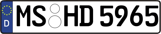 MS-HD5965