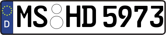 MS-HD5973