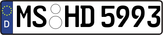 MS-HD5993