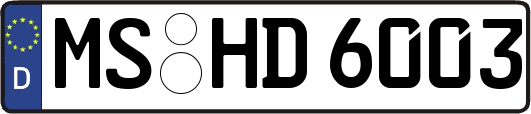 MS-HD6003