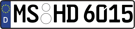 MS-HD6015