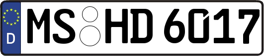 MS-HD6017