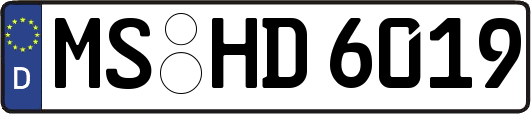 MS-HD6019
