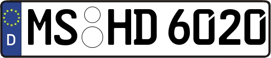 MS-HD6020