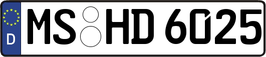 MS-HD6025