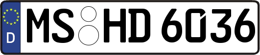 MS-HD6036