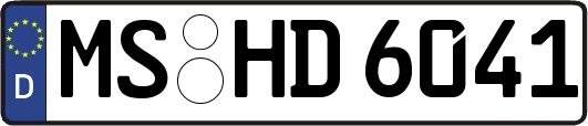 MS-HD6041