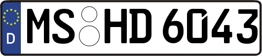 MS-HD6043