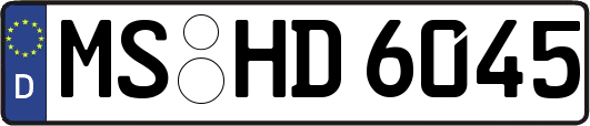 MS-HD6045