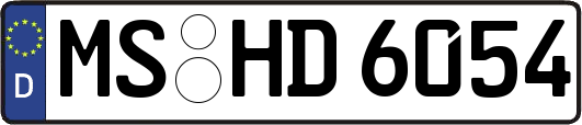 MS-HD6054