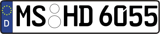 MS-HD6055