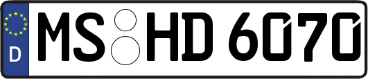 MS-HD6070
