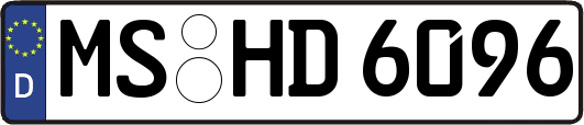 MS-HD6096
