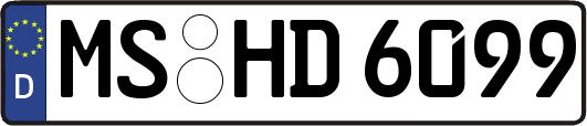 MS-HD6099
