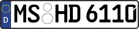 MS-HD6110
