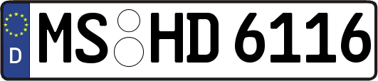 MS-HD6116