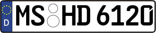 MS-HD6120