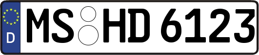 MS-HD6123