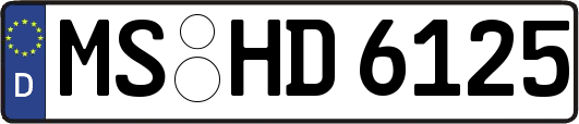 MS-HD6125