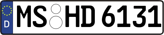 MS-HD6131