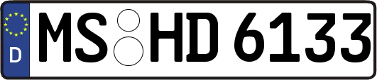 MS-HD6133