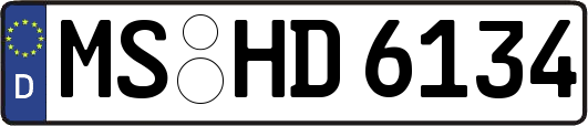 MS-HD6134