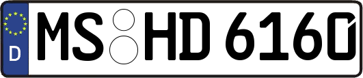 MS-HD6160
