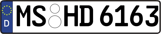 MS-HD6163