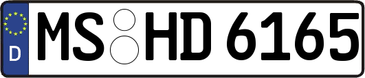MS-HD6165