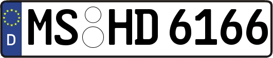 MS-HD6166