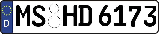MS-HD6173