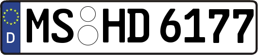 MS-HD6177