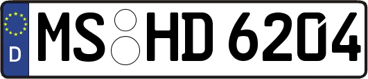 MS-HD6204