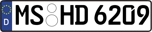 MS-HD6209