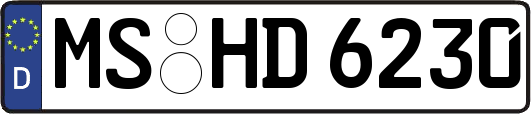 MS-HD6230