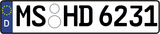 MS-HD6231