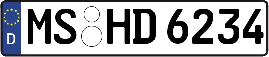 MS-HD6234