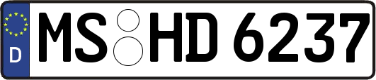 MS-HD6237