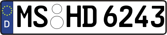 MS-HD6243
