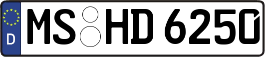 MS-HD6250
