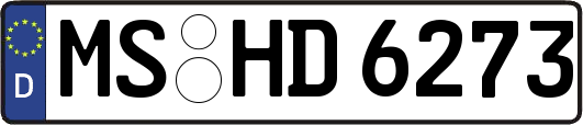 MS-HD6273