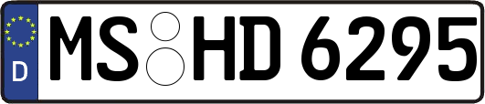 MS-HD6295