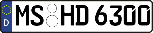 MS-HD6300