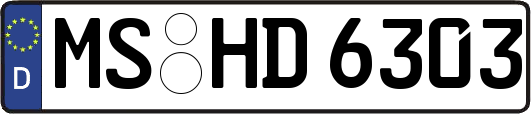 MS-HD6303